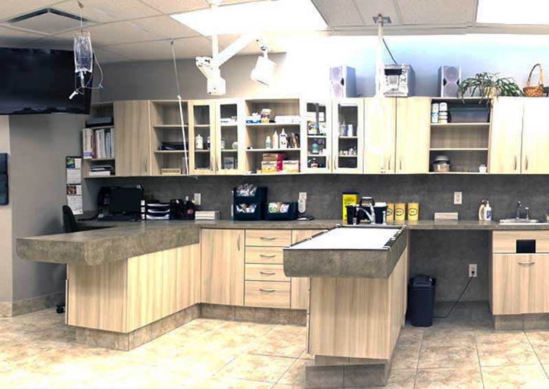 Carousel Slide 1: Learn more about us